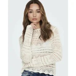 JdY Truien & sweaters Sale